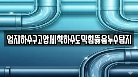 엄지하수구고압세척하수도막힘뚫음누수탐지