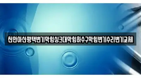 천안아산평택변기막힘싱크대막힘하수구막힘변기수리변기교체