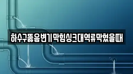 하수구뚫음변기막힘싱크대역류막혔을때