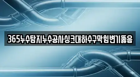 365누수탐지누수공사싱크대하수구막힘변기뚫음