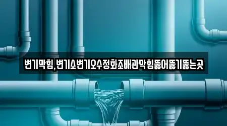 변기막힘,변기소변기오수정화조배관막힘뚫어뚫기뚫는곳