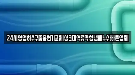 24시영업하수구뚫음변기교체싱크대역류막힘냄새누수빠른업체