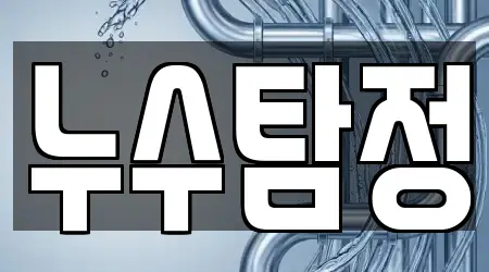 누수탐정