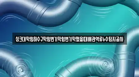 싱크대막힘하수구막힘변기막힘변기막혔을때배관역류누수탐지공사