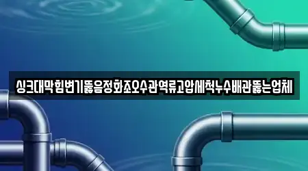 싱크대막힘변기뚫음정화조오수관역류고압세척누수배관뚫는업체