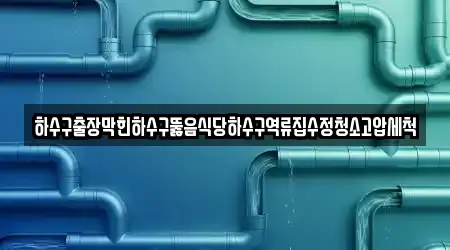 하수구출장막힌하수구뚫음식당하수구역류집수정청소고압세척