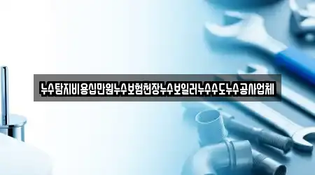 누수탐지비용십만원누수보험천장누수보일러누수수도누수공사업체