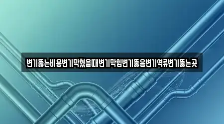 변기뚫는비용변기막혔을때변기막힘변기뚫음변기역류변기뚫는곳