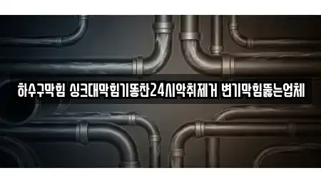 하수구막힘 싱크대막힘기똥찬24시악취제거 변기막힘뚫는업체