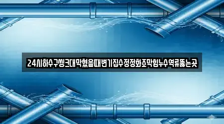 24시하수구씽크대막혔을때변기집수정정화조막힘누수역류뚫는곳