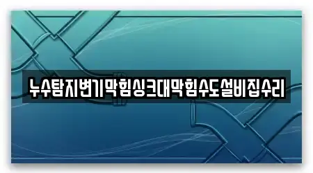 누수탐지변기막힘싱크대막힘수도설비집수리