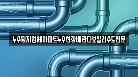 누수탐지업체아파트누수천장배란다보일러수도전문