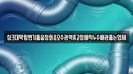 싱크대막힘변기뚫음정화조오수관역류고압세척누수배관뚫는업체