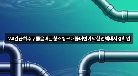 24긴급하수구뚫음배관청소씽크대뚫어변기막힘업체내시경확인