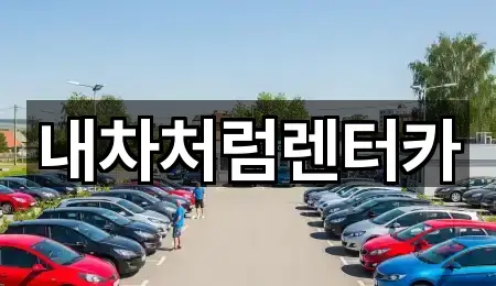 내차처럼렌터카