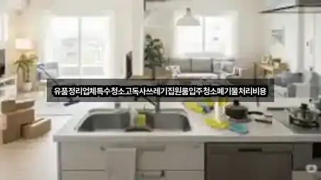 유품정리업체특수청소고독사쓰레기집원룸입주청소폐기물처리비용