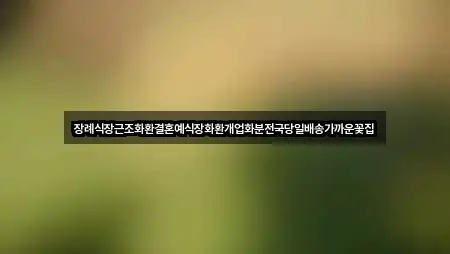 장례식장근조화환결혼예식장화환개업화분전국당일배송가까운꽃집