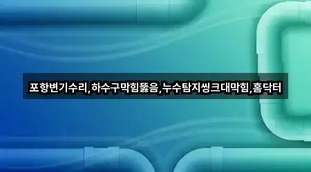 포항변기수리,하수구막힘뚫음,누수탐지씽크대막힘,홈닥터