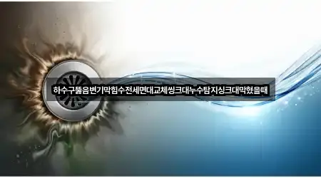 하수구뚫음변기막힘수전세면대교체씽크대누수탐지싱크대막혔을때
