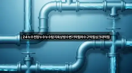 24누수천장누수누수탐지옥상방수변기막힘하수구막힘싱크대막힘