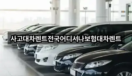 원클릭 지도: 경상남도 사천시 용현면렌트카 3곳