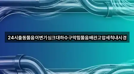 24시출동뚫음이변기싱크대하수구막힘뚫음배관고압세척내시경