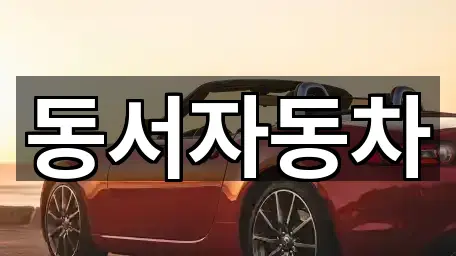 부산광역시 범방동 중고차 새로 추가 5곳