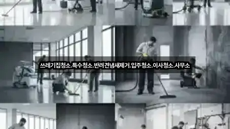 쓰레기집청소.특수청소.반려견냄새제거.입주청소.이사청소.사무소