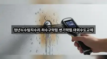 청년누수탐지수리.하수구막힘.변기막힘.야외수도교체