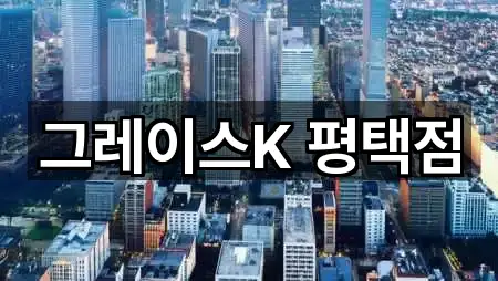 그레이스K 평택점