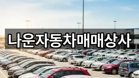 나운동 중고차 연락처만 모아보기 5건