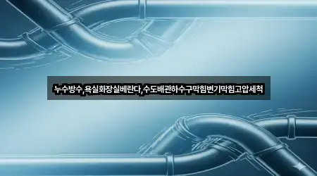 누수방수,욕실화장실베란다,수도배관하수구막힘변기막힘고압세척