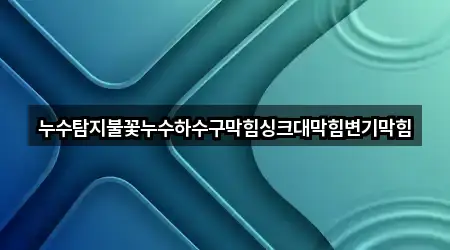 누수탐지불꽃누수하수구막힘싱크대막힘변기막힘