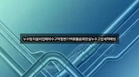 누수탐지설비업체하수구막힘변기역류뚫음화장실누수고압세척해빙