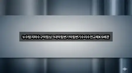 누수탐지하수구막힘싱크대막힘변기막힘변기수리수전교체KS배관
