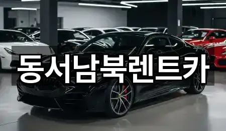 동서남북렌트카