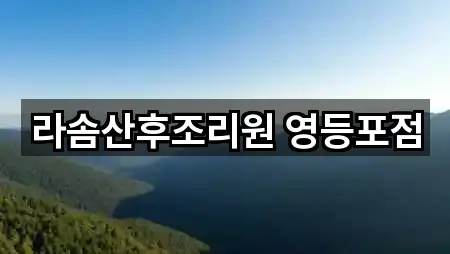 라솜산후조리원 영등포점