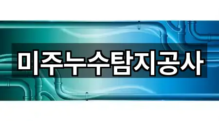 미주누수탐지공사