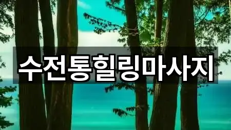 수전통힐링마사지