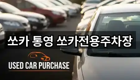 쏘카 통영 쏘카전용주차장