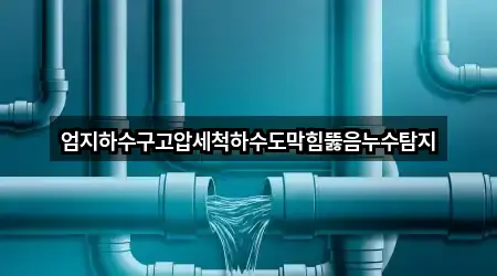 엄지하수구고압세척하수도막힘뚫음누수탐지