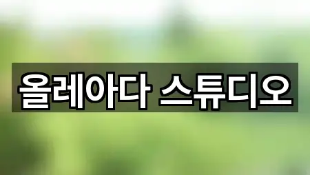 올레아다 스튜디오