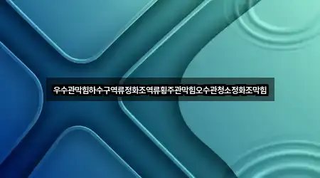 우수관막힘하수구역류정화조역류횡주관막힘오수관청소정화조막힘