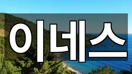 울산광역시 동구 방어동 웨딩드레스 즉시 찾기 1곳