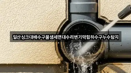 일산싱크대배수구물샘세면대수리변기막힘하수구누수탐지