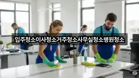 입주청소이사청소거주청소사무실청소병원청소