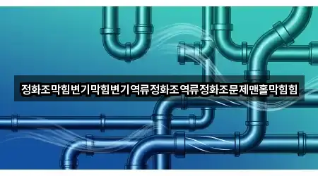 정화조막힘변기막힘변기역류정화조역류정화조문제맨홀막힘힘