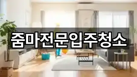줌마전문입주청소