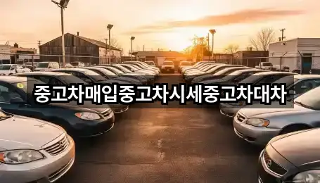 중고차매입중고차시세중고차대차