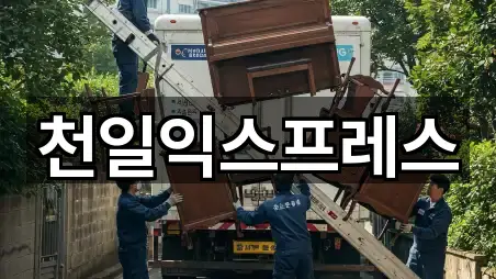 천일익스프레스